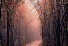 马尔科承认 用角田替换劳森 维斯塔潘不高兴了.