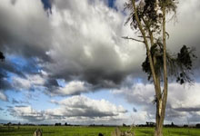 两支英超球队欧联16强赛首回合不胜 红魔平热刺败.