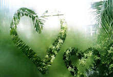 两支英超球队欧联16强赛首回合不胜 红魔平热刺败.