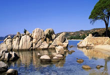 回忆杀！拉莫斯社媒晒93分钟绝平马竞&手捧大力神杯漫画图.